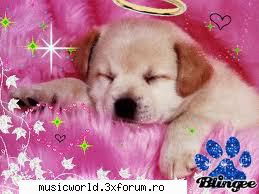 Blingee - Andreea - Diverse poze^_^