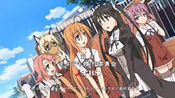 Cat la %? - 90% Cat la suta iti place Mayo Chiki? - Jocuri