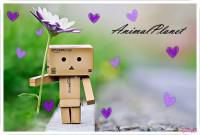 Poze cu DanBo - Ador cutiuta asta! - Diverse poze^_^