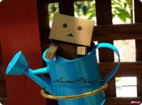 Poze cu DanBo - AhHyo - Diverse poze^_^