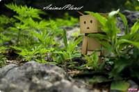 Poze cu DanBo - AhHyo - Diverse poze^_^